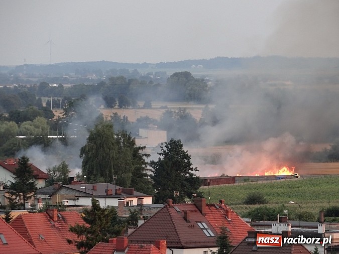 Zdjęcie w galerii na portalu naszraciborz.pl: Strażacy walczyli z wielkim pożarem ścierniska na polu przy Studziennej wiadomości z regionu