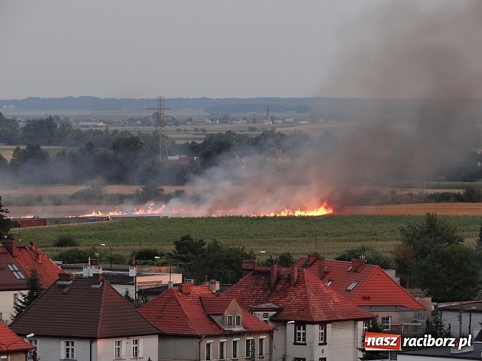Zdjęcie w galerii na portalu naszraciborz.pl: Strażacy walczyli z wielkim pożarem ścierniska na polu przy Studziennej wiadomości z regionu