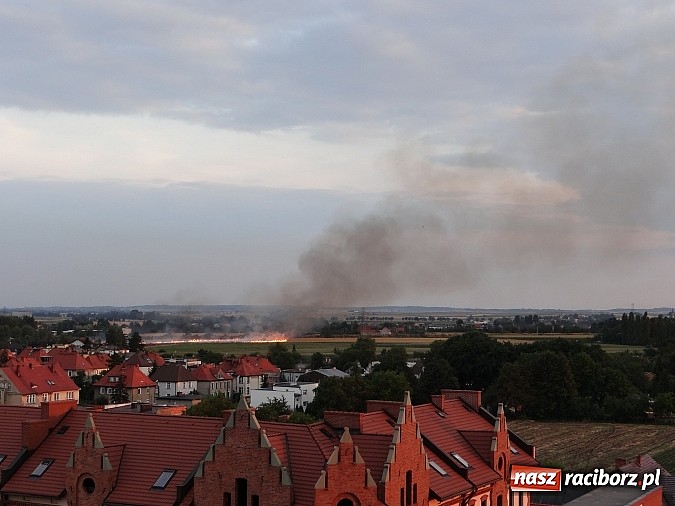 Zdjęcie w galerii na portalu naszraciborz.pl: Strażacy walczyli z wielkim pożarem ścierniska na polu przy Studziennej wiadomości z regionu