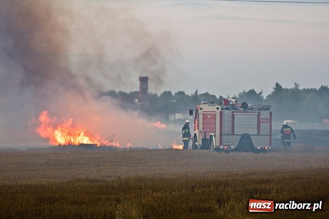 Zdjęcie w galerii na portalu naszraciborz.pl: Strażacy walczyli z wielkim pożarem ścierniska na polu przy Studziennej wiadomości z regionu