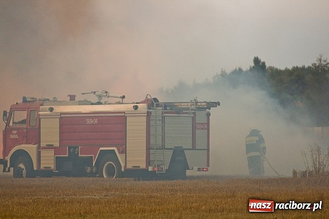 Zdjęcie w galerii na portalu naszraciborz.pl: Strażacy walczyli z wielkim pożarem ścierniska na polu przy Studziennej wiadomości z regionu