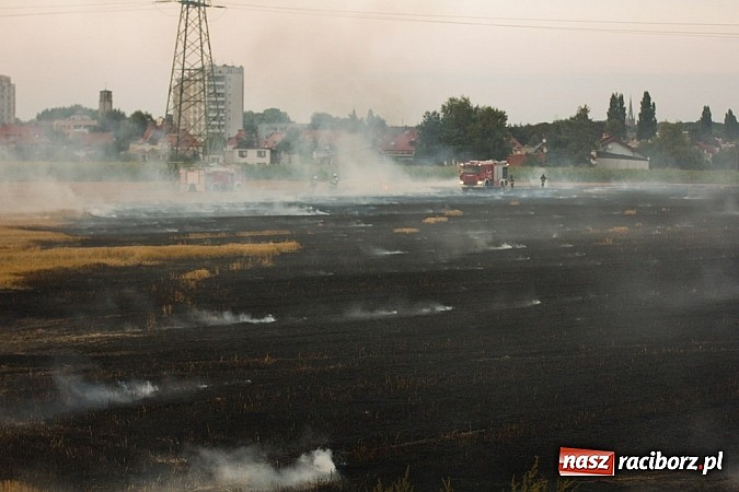 Zdjęcie w galerii na portalu naszraciborz.pl: Strażacy walczyli z wielkim pożarem ścierniska na polu przy Studziennej wiadomości z regionu