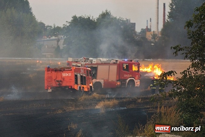 Zdjęcie w galerii na portalu naszraciborz.pl: Strażacy walczyli z wielkim pożarem ścierniska na polu przy Studziennej wiadomości z regionu