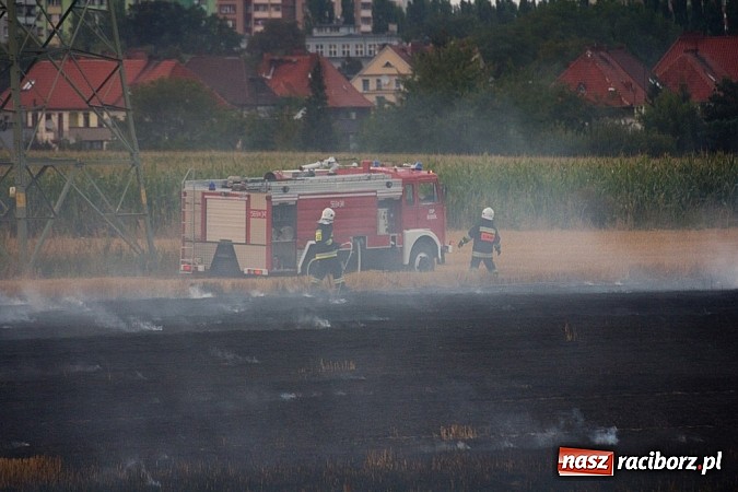Zdjęcie w galerii na portalu naszraciborz.pl: Strażacy walczyli z wielkim pożarem ścierniska na polu przy Studziennej wiadomości z regionu