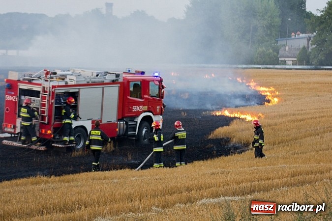 Zdjęcie w galerii na portalu naszraciborz.pl: Strażacy walczyli z wielkim pożarem ścierniska na polu przy Studziennej wiadomości z regionu