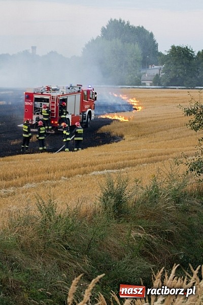 Zdjęcie w galerii na portalu naszraciborz.pl: Strażacy walczyli z wielkim pożarem ścierniska na polu przy Studziennej wiadomości z regionu