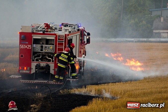 Zdjęcie w galerii na portalu naszraciborz.pl: Strażacy walczyli z wielkim pożarem ścierniska na polu przy Studziennej wiadomości z regionu