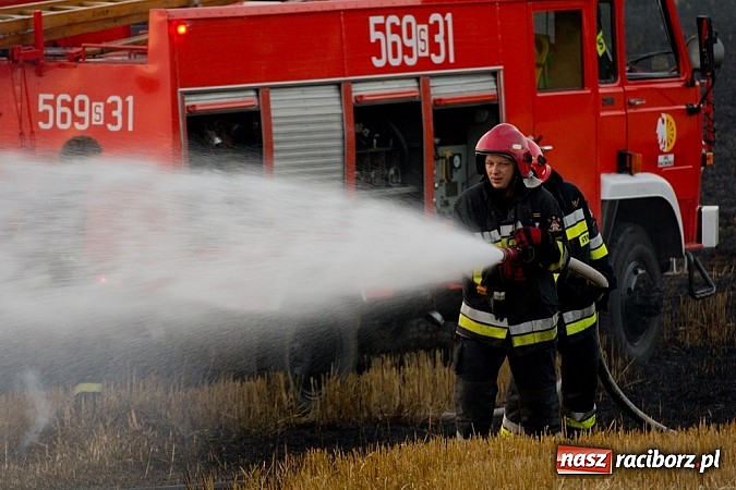 Zdjęcie w galerii na portalu naszraciborz.pl: Strażacy walczyli z wielkim pożarem ścierniska na polu przy Studziennej wiadomości z regionu