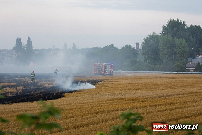 Zdjęcie w galerii na portalu naszraciborz.pl: Strażacy walczyli z wielkim pożarem ścierniska na polu przy Studziennej wiadomości z regionu