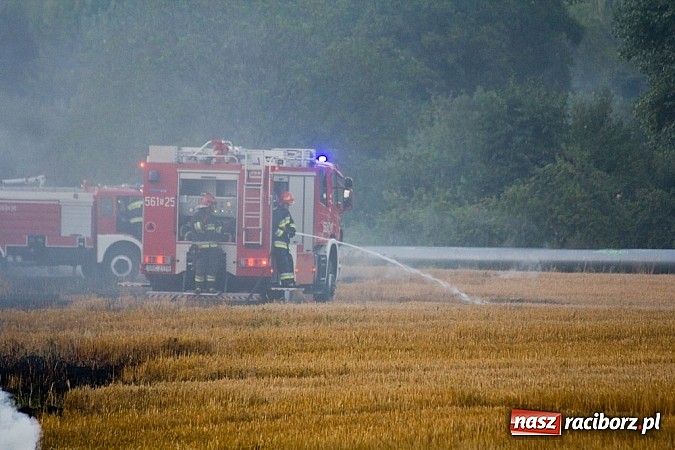 Zdjęcie w galerii na portalu naszraciborz.pl: Strażacy walczyli z wielkim pożarem ścierniska na polu przy Studziennej wiadomości z regionu
