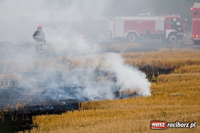 Zdjęcie w galerii na portalu naszraciborz.pl: Strażacy walczyli z wielkim pożarem ścierniska na polu przy Studziennej wiadomości z regionu