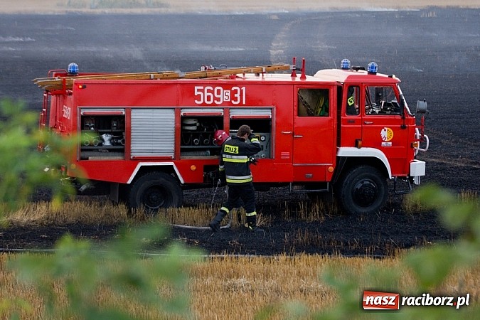 Zdjęcie w galerii na portalu naszraciborz.pl: Strażacy walczyli z wielkim pożarem ścierniska na polu przy Studziennej wiadomości z regionu