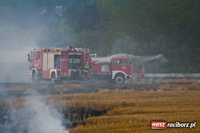 Zdjęcie w galerii na portalu naszraciborz.pl: Strażacy walczyli z wielkim pożarem ścierniska na polu przy Studziennej wiadomości z regionu