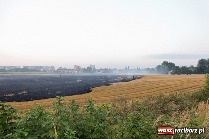 Zdjęcie w galerii na portalu naszraciborz.pl: Strażacy walczyli z wielkim pożarem ścierniska na polu przy Studziennej wiadomości z regionu