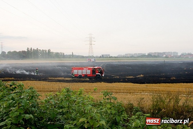 Zdjęcie w galerii na portalu naszraciborz.pl: Strażacy walczyli z wielkim pożarem ścierniska na polu przy Studziennej wiadomości z regionu