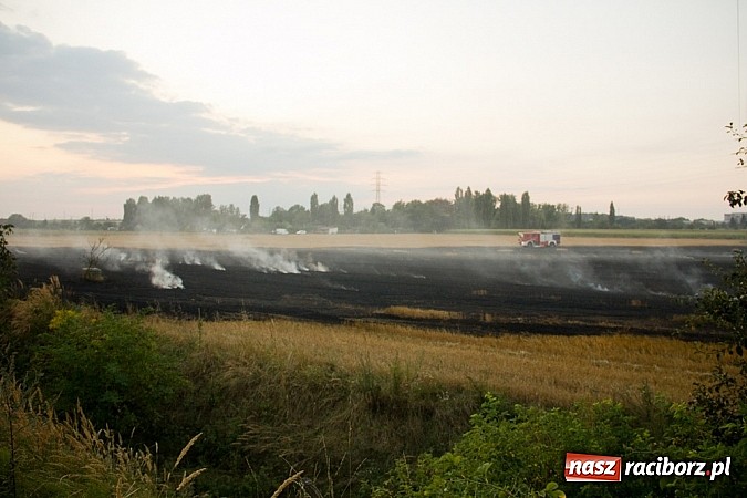 Zdjęcie w galerii na portalu naszraciborz.pl: Strażacy walczyli z wielkim pożarem ścierniska na polu przy Studziennej wiadomości z regionu