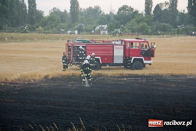 Zdjęcie w galerii na portalu naszraciborz.pl: Strażacy walczyli z wielkim pożarem ścierniska na polu przy Studziennej wiadomości z regionu