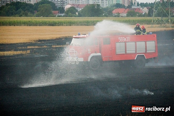 Zdjęcie w galerii na portalu naszraciborz.pl: Strażacy walczyli z wielkim pożarem ścierniska na polu przy Studziennej wiadomości z regionu