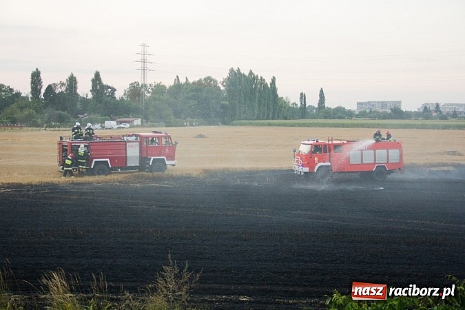 Zdjęcie w galerii na portalu naszraciborz.pl: Strażacy walczyli z wielkim pożarem ścierniska na polu przy Studziennej wiadomości z regionu