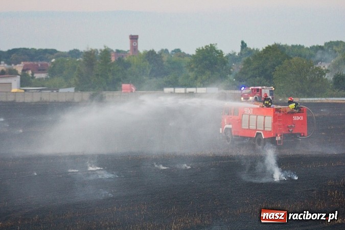 Zdjęcie w galerii na portalu naszraciborz.pl: Strażacy walczyli z wielkim pożarem ścierniska na polu przy Studziennej wiadomości z regionu