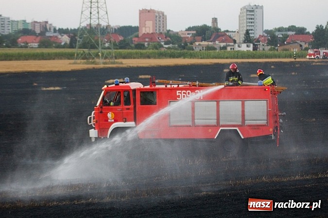 Zdjęcie w galerii na portalu naszraciborz.pl: Strażacy walczyli z wielkim pożarem ścierniska na polu przy Studziennej wiadomości z regionu