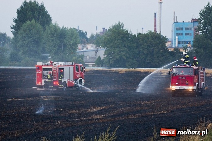 Zdjęcie w galerii na portalu naszraciborz.pl: Strażacy walczyli z wielkim pożarem ścierniska na polu przy Studziennej wiadomości z regionu