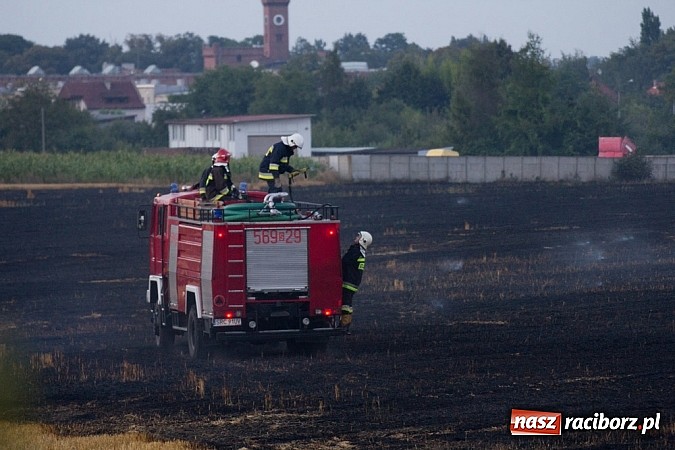 Zdjęcie w galerii na portalu naszraciborz.pl: Strażacy walczyli z wielkim pożarem ścierniska na polu przy Studziennej wiadomości z regionu