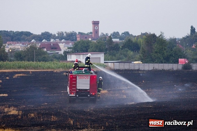 Zdjęcie w galerii na portalu naszraciborz.pl: Strażacy walczyli z wielkim pożarem ścierniska na polu przy Studziennej wiadomości z regionu