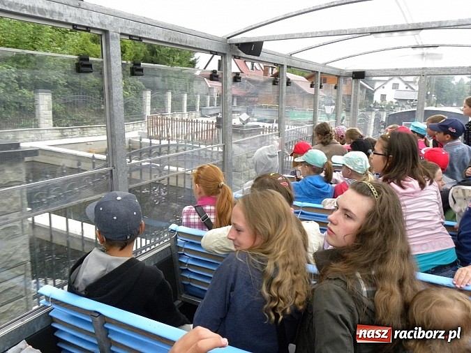 Zdjęcie w galerii na portalu naszraciborz.pl: Azjatyckie Lato z biblioteką z wizytą w Wiśle wiadomości z regionu