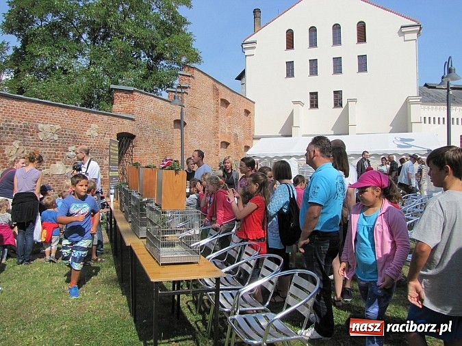 Zdjęcie w galerii na portalu naszraciborz.pl: Zwierzaki na zamku, czyli ostatni dzień akcji Zamkowy Zuch wiadomości z regionu