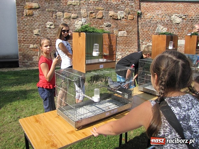 Zdjęcie w galerii na portalu naszraciborz.pl: Zwierzaki na zamku, czyli ostatni dzień akcji Zamkowy Zuch wiadomości z regionu