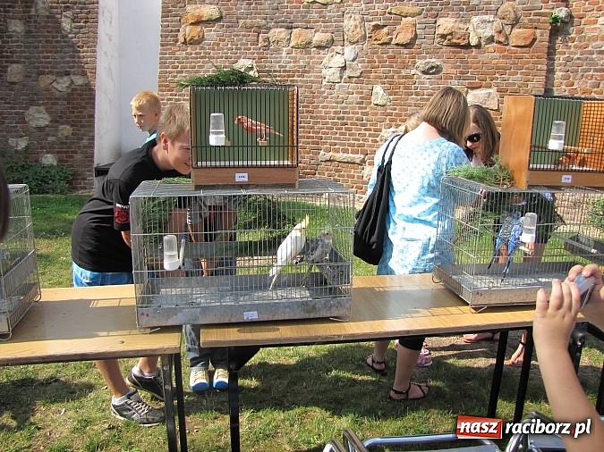 Zdjęcie w galerii na portalu naszraciborz.pl: Zwierzaki na zamku, czyli ostatni dzień akcji Zamkowy Zuch wiadomości z regionu