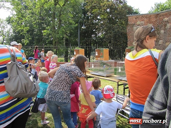 Zdjęcie w galerii na portalu naszraciborz.pl: Zwierzaki na zamku, czyli ostatni dzień akcji Zamkowy Zuch wiadomości z regionu