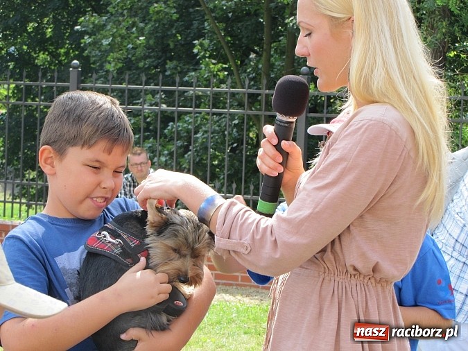 Zdjęcie w galerii na portalu naszraciborz.pl: Zwierzaki na zamku, czyli ostatni dzień akcji Zamkowy Zuch wiadomości z regionu