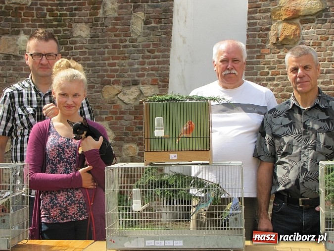 Zdjęcie w galerii na portalu naszraciborz.pl: Zwierzaki na zamku, czyli ostatni dzień akcji Zamkowy Zuch wiadomości z regionu