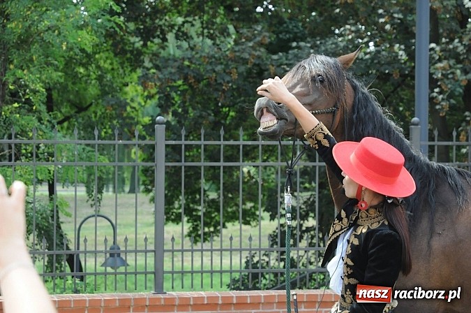 Zdjęcie w galerii na portalu naszraciborz.pl: Król Jan III Sobieski wjechał dziś na zamek wiadomości z regionu