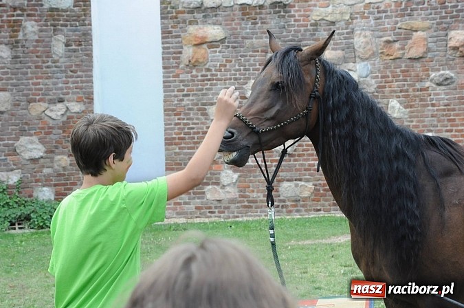 Zdjęcie w galerii na portalu naszraciborz.pl: Król Jan III Sobieski wjechał dziś na zamek wiadomości z regionu