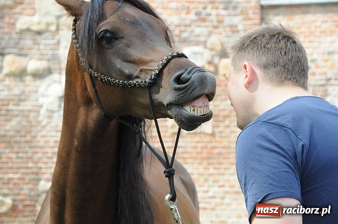 Zdjęcie w galerii na portalu naszraciborz.pl: Król Jan III Sobieski wjechał dziś na zamek wiadomości z regionu