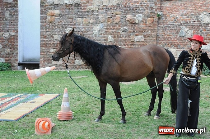 Zdjęcie w galerii na portalu naszraciborz.pl: Król Jan III Sobieski wjechał dziś na zamek wiadomości z regionu