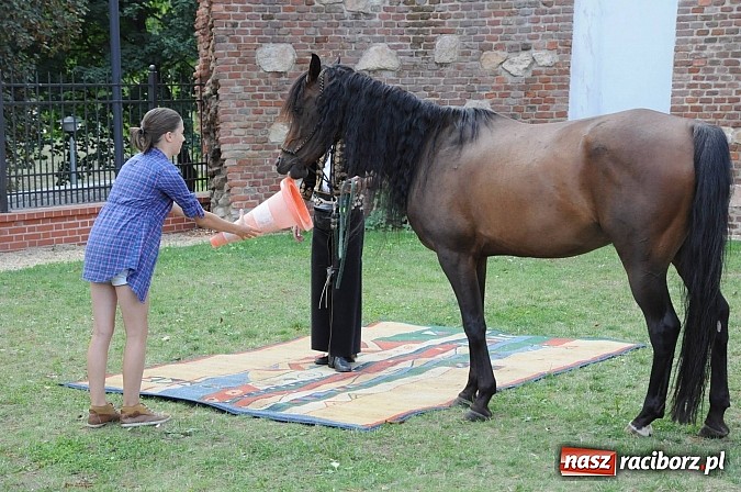 Zdjęcie w galerii na portalu naszraciborz.pl: Król Jan III Sobieski wjechał dziś na zamek wiadomości z regionu
