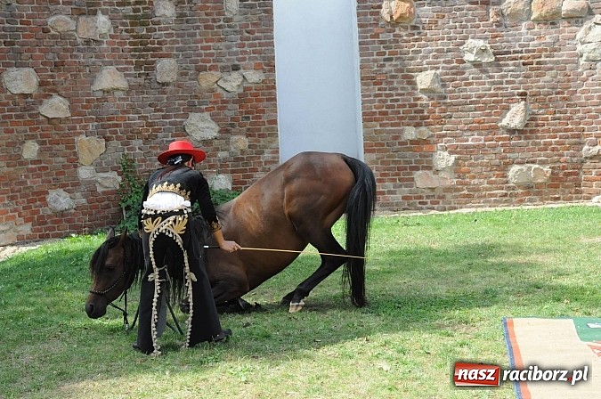 Zdjęcie w galerii na portalu naszraciborz.pl: Król Jan III Sobieski wjechał dziś na zamek wiadomości z regionu