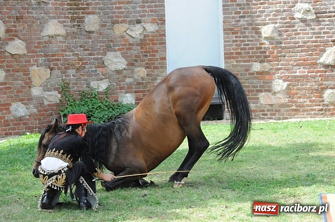 Zdjęcie w galerii na portalu naszraciborz.pl: Król Jan III Sobieski wjechał dziś na zamek wiadomości z regionu