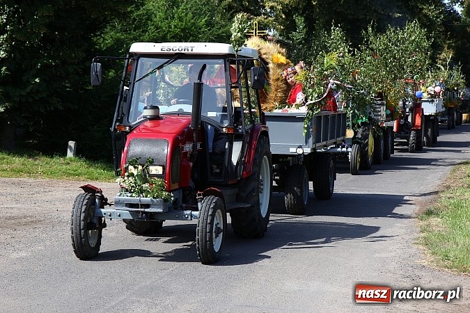 Zdjęcie w galerii na portalu naszraciborz.pl: Kolorowy korowód na dożynkach w Rzuchowie wiadomości z regionu