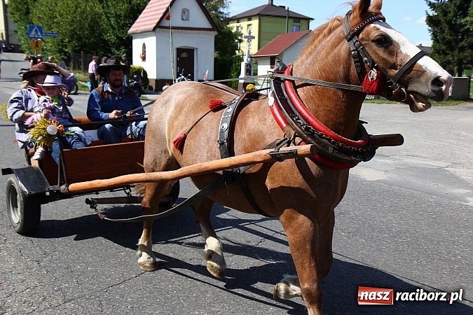 Zdjęcie w galerii na portalu naszraciborz.pl: Święto plonów w Kobyli na wesoło wiadomości z regionu