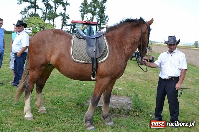 Zdjęcie w galerii na portalu naszraciborz.pl: W korowodzie świetlica idzie na przodzie wiadomości z regionu