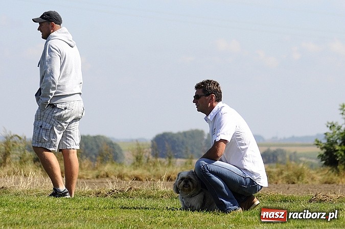 Zdjęcie w galerii na portalu naszraciborz.pl: Udana pogoń Borucina wiadomości z regionu