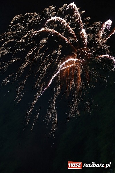 Zdjęcie w galerii na portalu naszraciborz.pl: Memoriał 2013 - Lady Pank na finał wiadomości z regionu