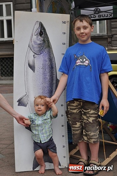 Zdjęcie w galerii na portalu naszraciborz.pl: 20 lat w trosce o środowisko. Podsumowanie akcji WFOŚiGW wiadomości z regionu