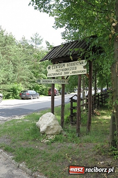 Zdjęcie w galerii na portalu naszraciborz.pl: 20 lat w trosce o środowisko. Podsumowanie akcji WFOŚiGW wiadomości z regionu