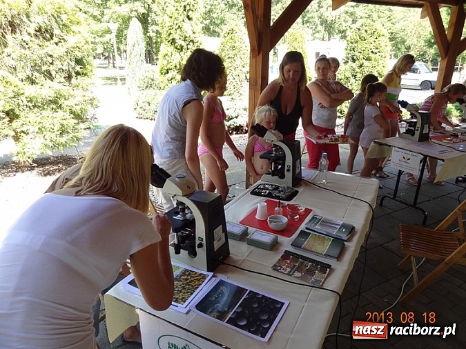 Zdjęcie w galerii na portalu naszraciborz.pl: 20 lat w trosce o środowisko. Podsumowanie akcji WFOŚiGW wiadomości z regionu